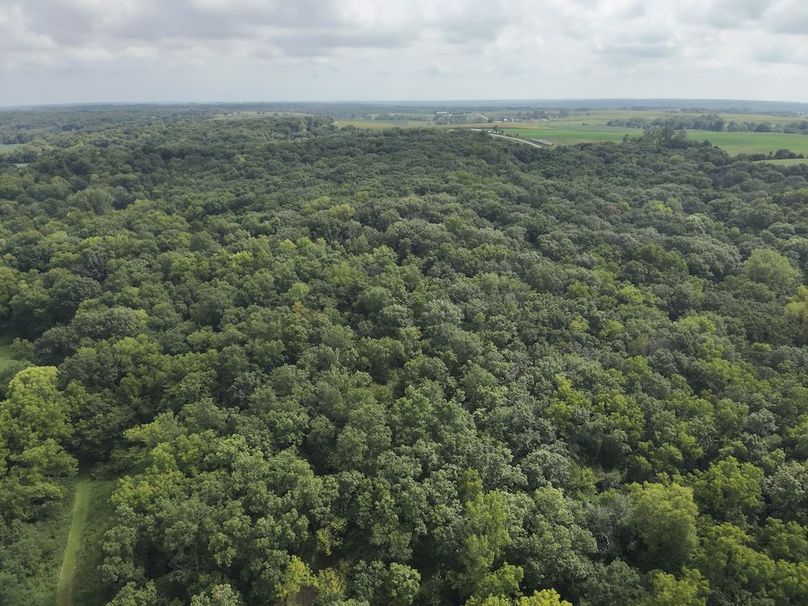 DJI_20240815153755_0020_V