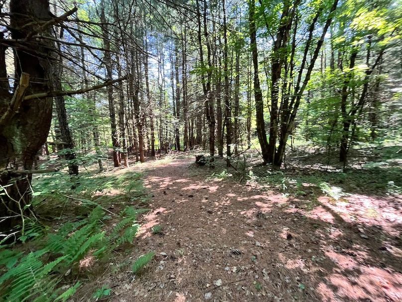 Oswego_24_Frank Photo 21