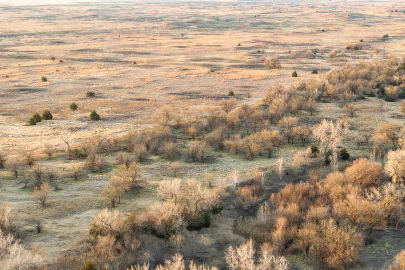 DJI_20260311081933_0523_D