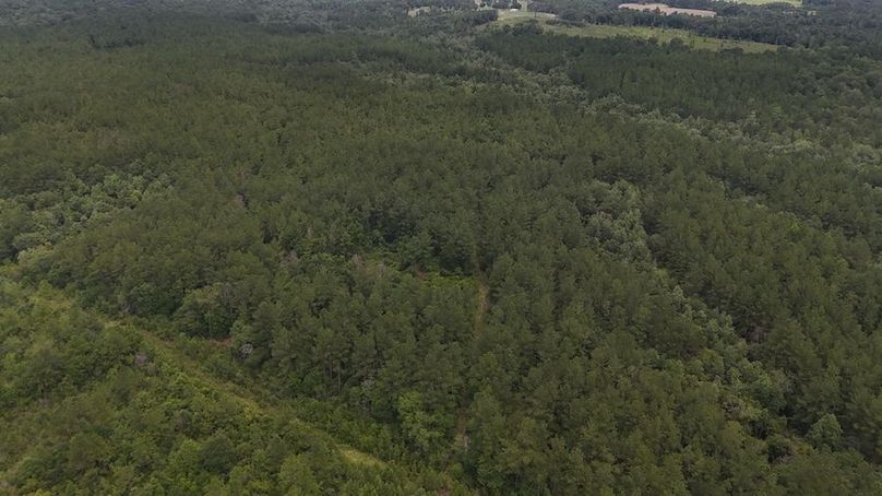 DJI_20240703114918_0002_D