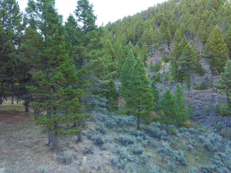20240925-DJI_0111