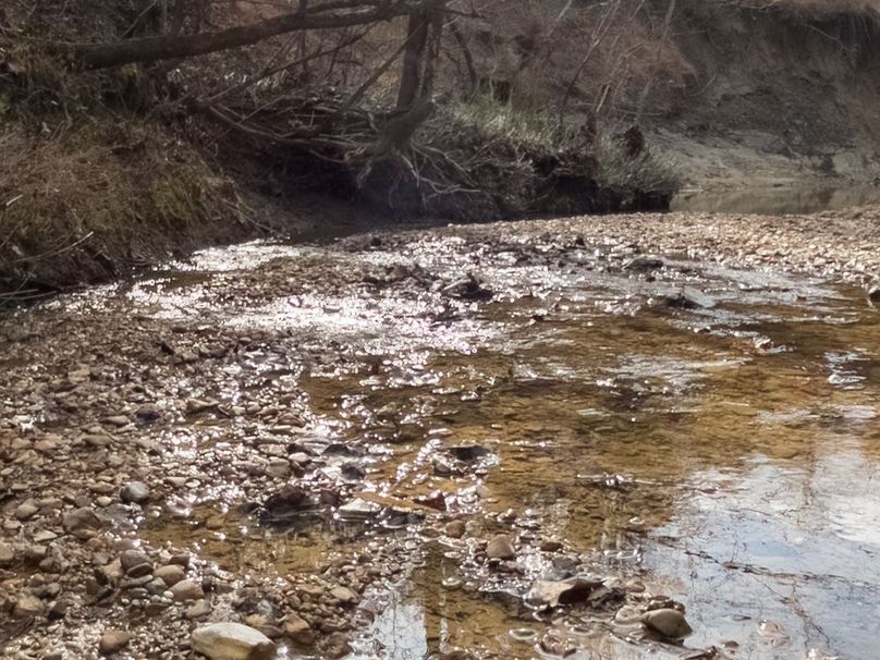 Yazoo Co - 75 - Batton-31