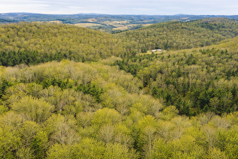 ChatGPT Image Mar 31, 2026, 04_24_11 PM