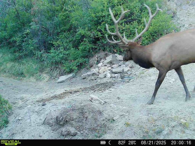 860516063676799-100-3-08212025200016-V-W1000195