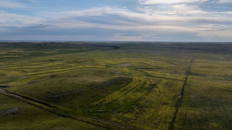 DJI_20250803072222_0030_D-HDR