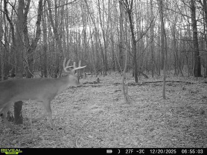 860516067589287-0-2-12202025065502-V-W1000355