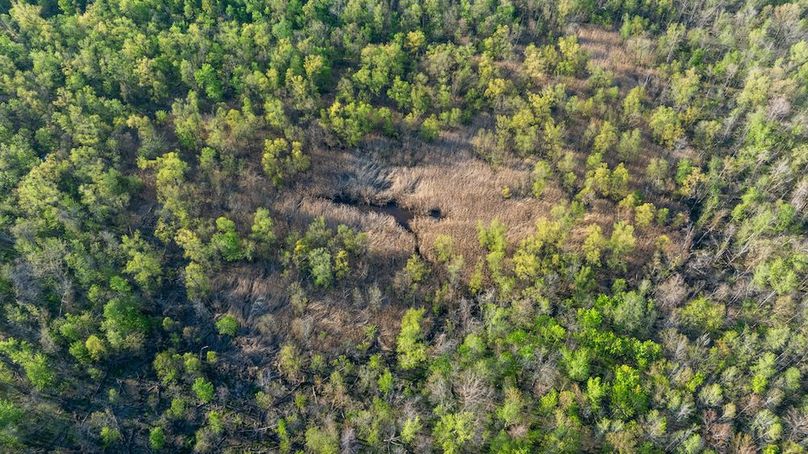 DJI_20260407175341_0017_D