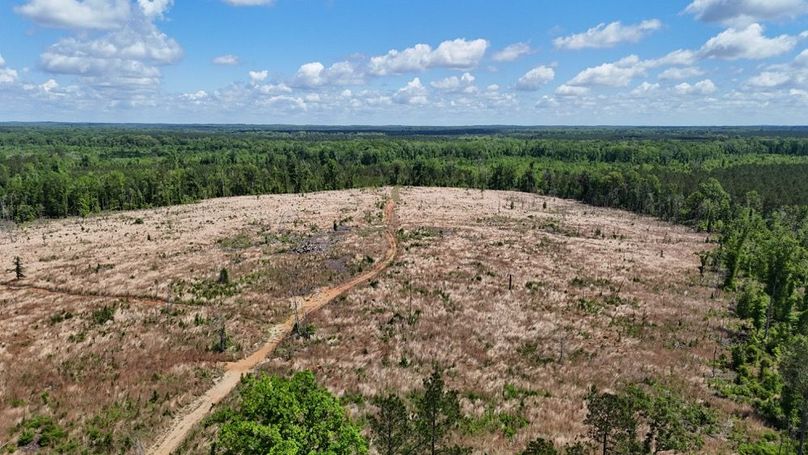 DJI_20250504003927_0470_D