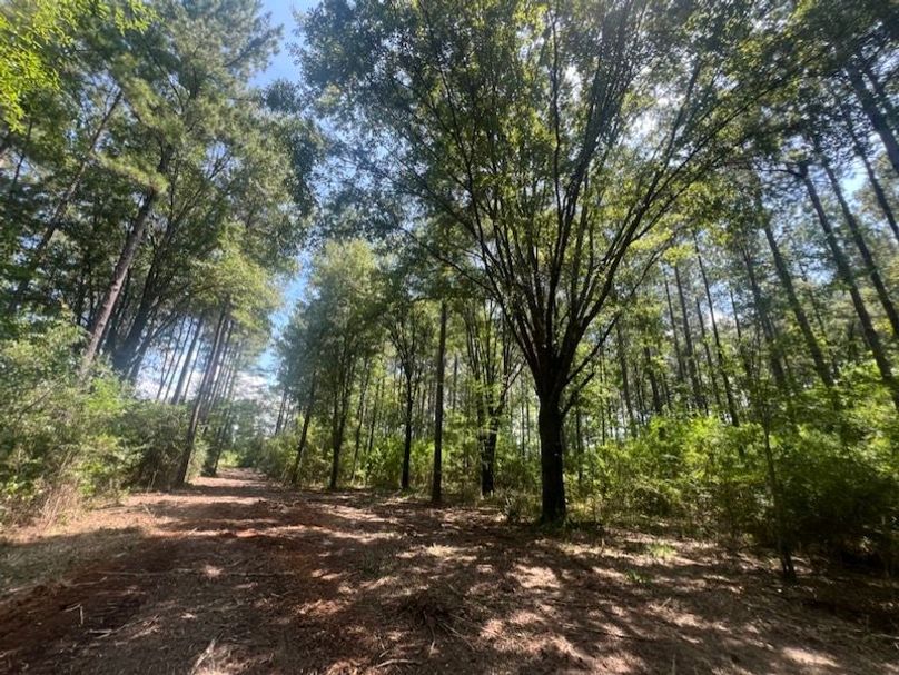 2922555E-B38F-4100-9BEC-D8DA82F75827_1_105_c