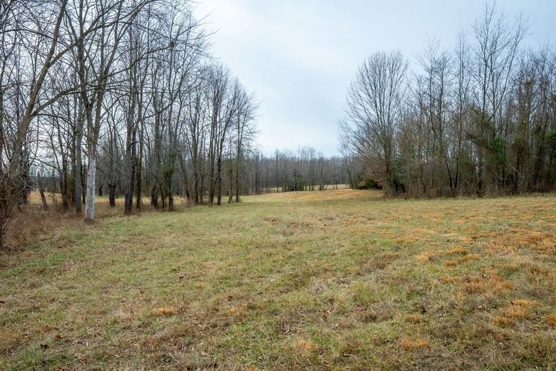 Copy of DSC00713 Large