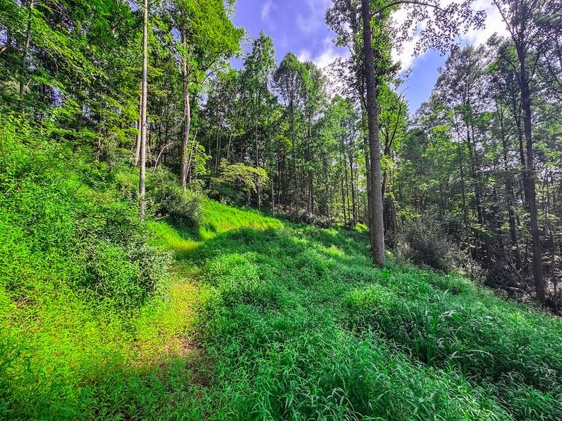 Lewis, WV 105 AC Miller-64