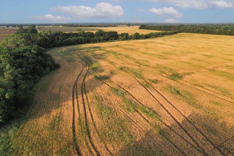 Lamar County- 92.66 Acres (12 of 29)