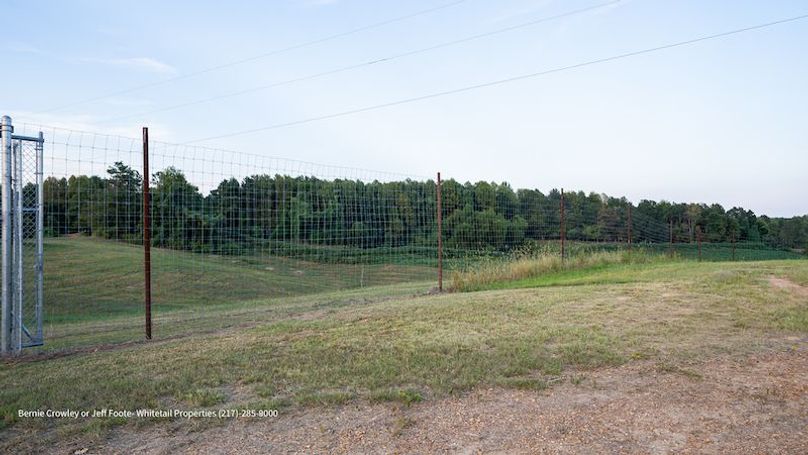 Tallahatchie 847 Messina-72