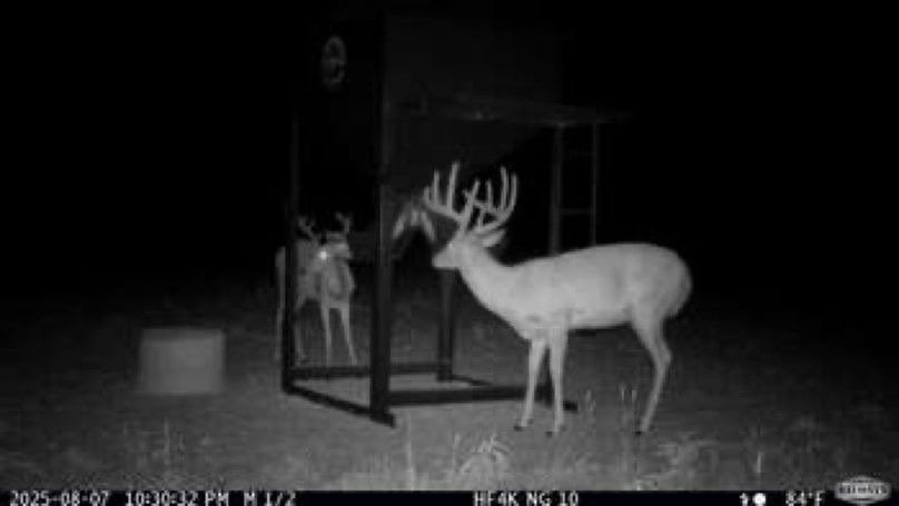 7486cf970b25716763ab2def691f3a50-small