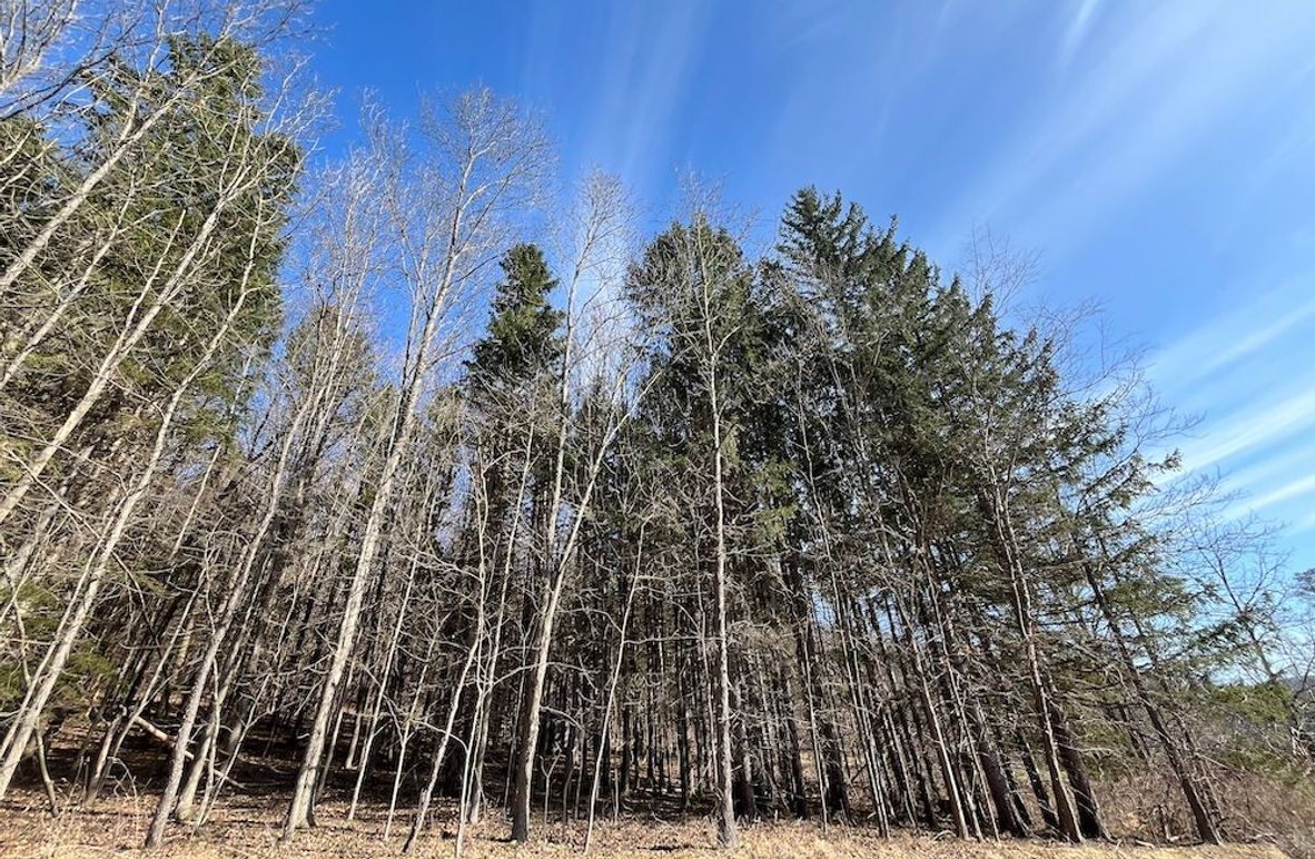 Ontario_39.6_Powell Photo 3