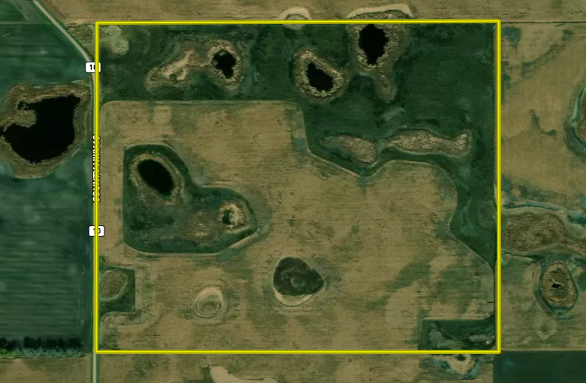 Screenshot 2026-02-17 at 12.15.13 PM