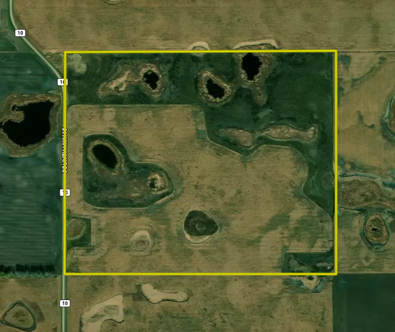 Screenshot 2026-02-17 at 12.15.13 PM