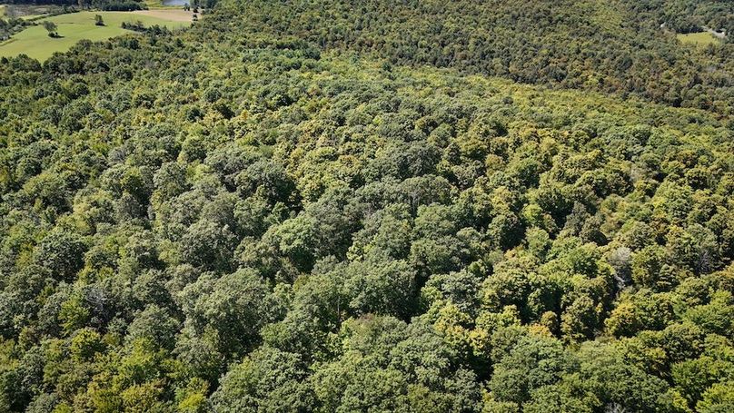 Tioga NY 64 Shores 18