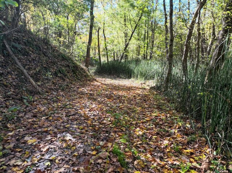 Copy of DJI_20251031134011_0788_D