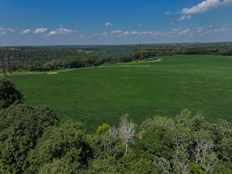 Olmsted 42.63 New-13