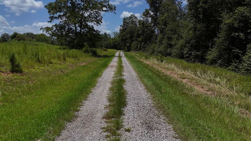 9-DJI_20240730132451_0011_D