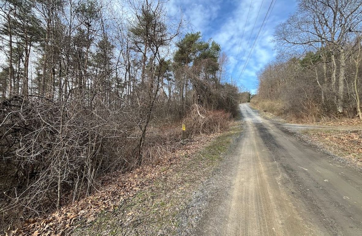 Yates_11.492_Mezer Photo 2