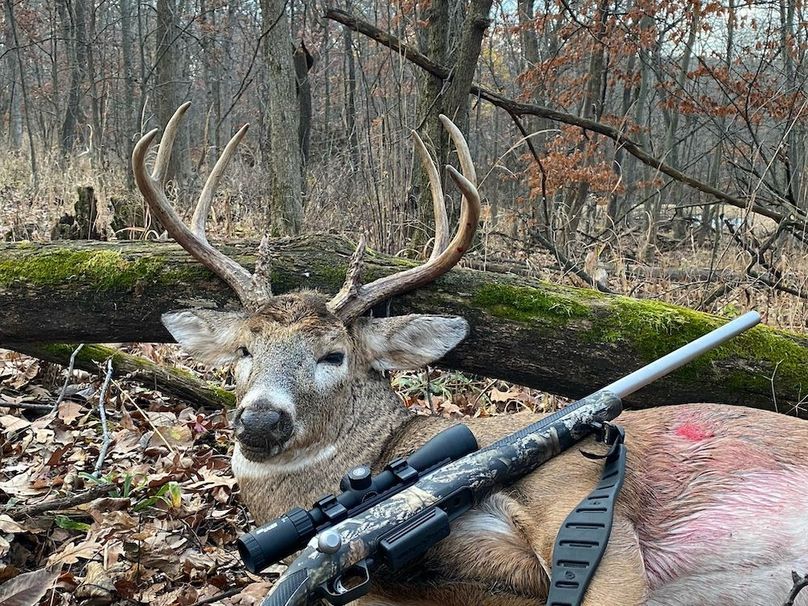 54.03 Houston Deer-12