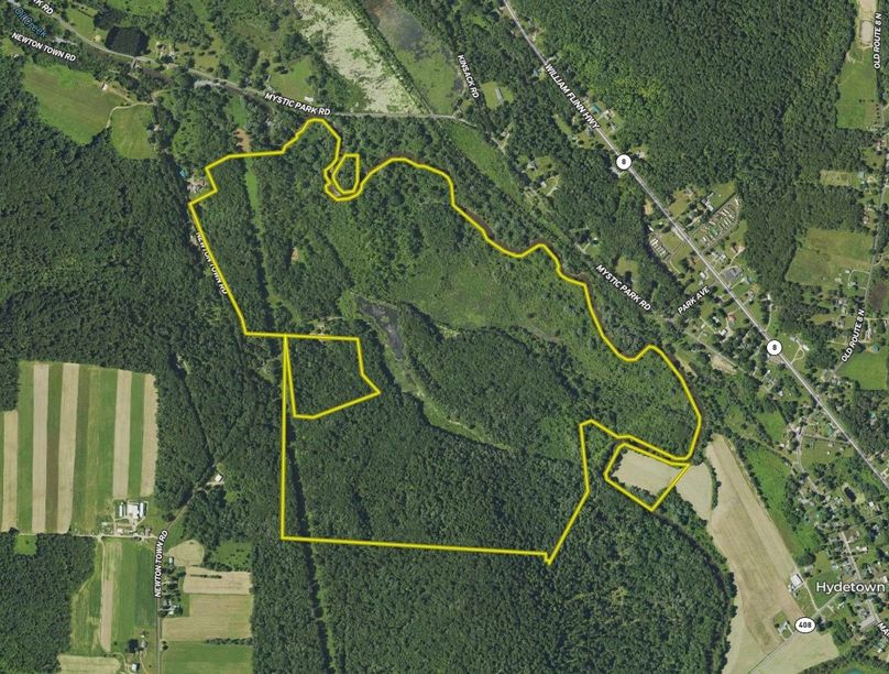 Screen Shot 2024-03-04 at 3.49.55 PM