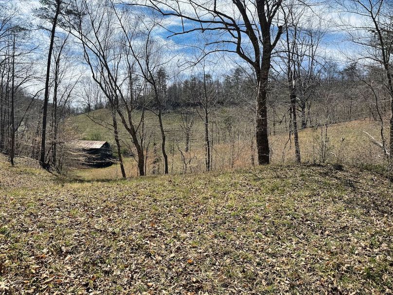 028 awesome shot from the small east field looking into the valley