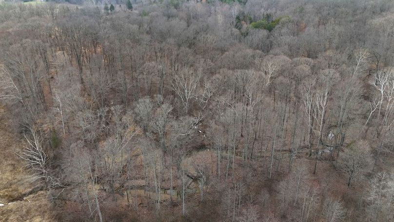 DJI_20250314165405_0251_D