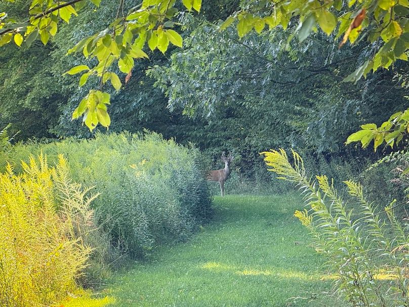 Seneca_65_Engels Photo 39