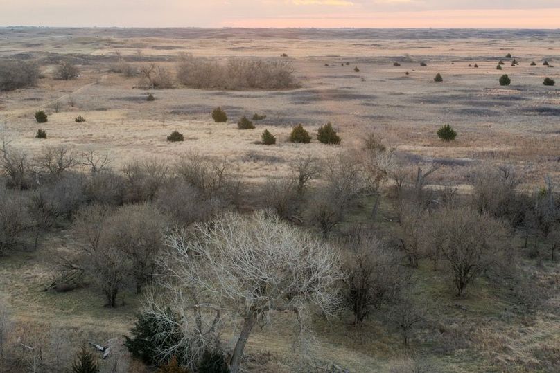 DJI_20260311081502_0516_D