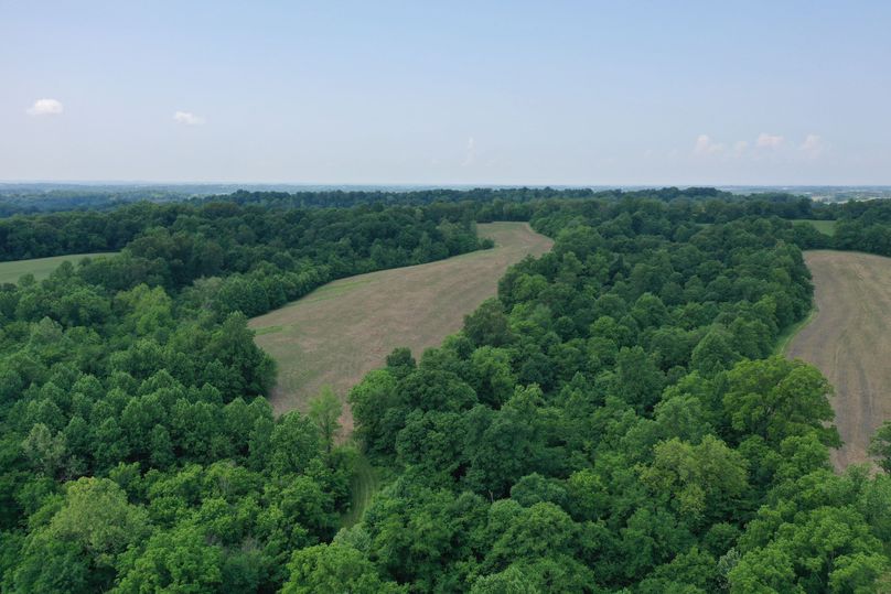 DJI_0341