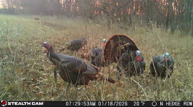 Screenshot 2026-01-21 at 9.38.42 PM copy