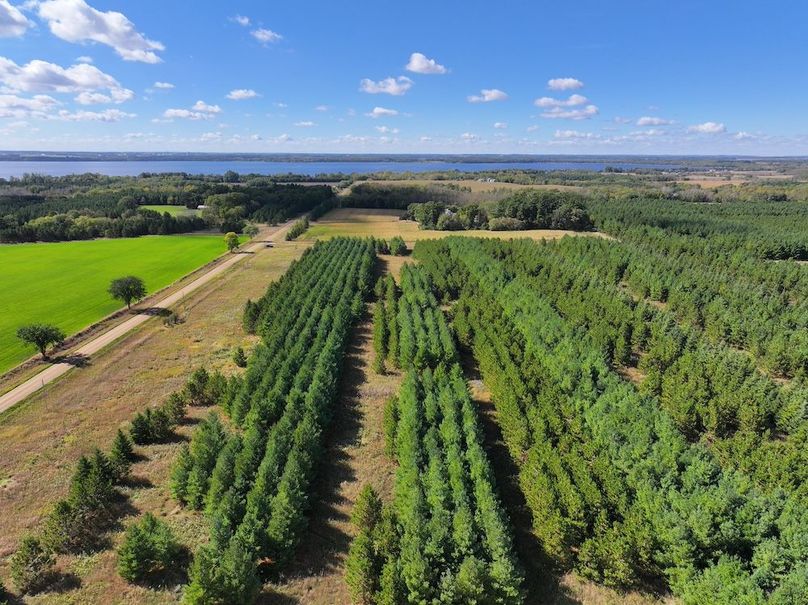 dji_fly_20240924_141704_0274_1727213964330_photo