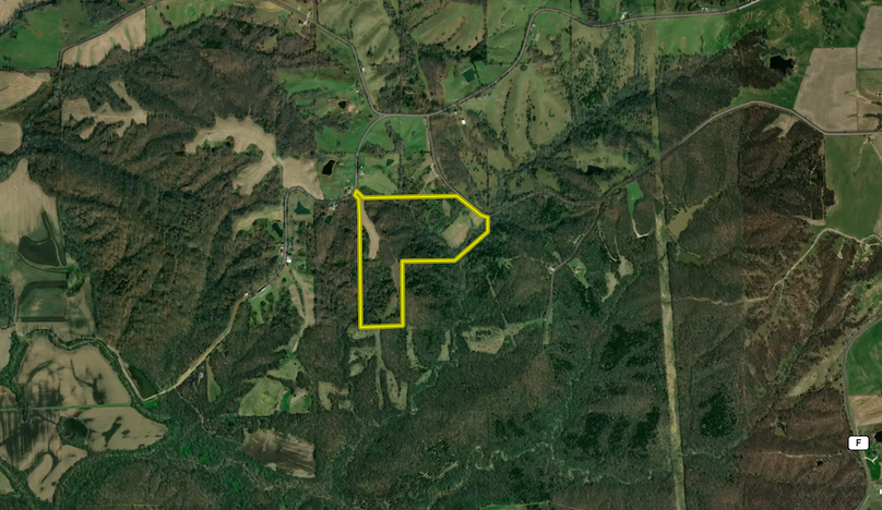 Screenshot 2024-01-31 at 1.57.39 PM