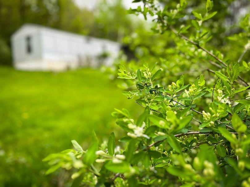 Tioga_78_Biada_Photos_52