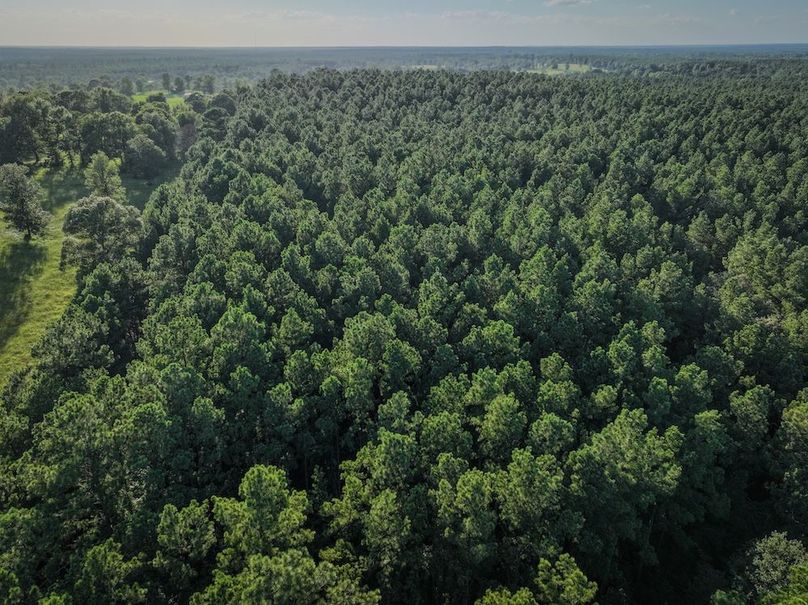 Copy of DJI_20240704190158_0018_D