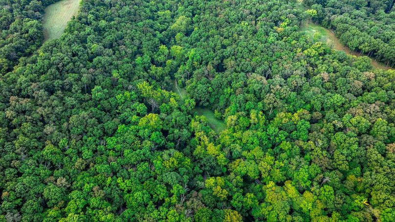 DJI_20250904182721_0011_D