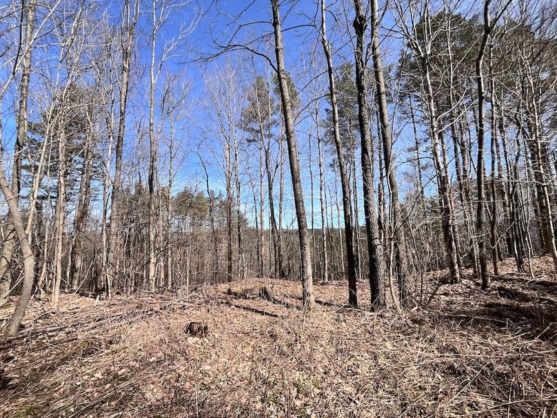 Lewis_26_Somberg Photo 48