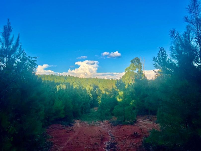 A8CB9D9B-3528-44B7-8CEA-CB669F2DB0AB_1_201_a