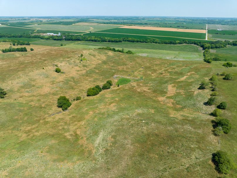 20230626-DJI_0516