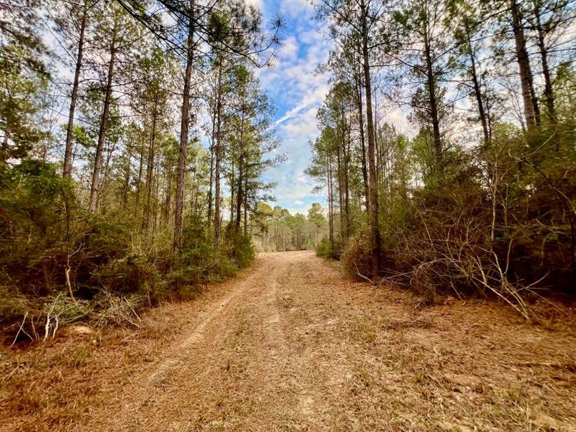 97F65F9C-0D63-411B-94A6-36E3B8B5D1D8_1_201_a