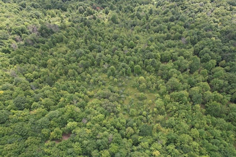 Chemung_59.085_Gutchess_Lumber_Photos_27