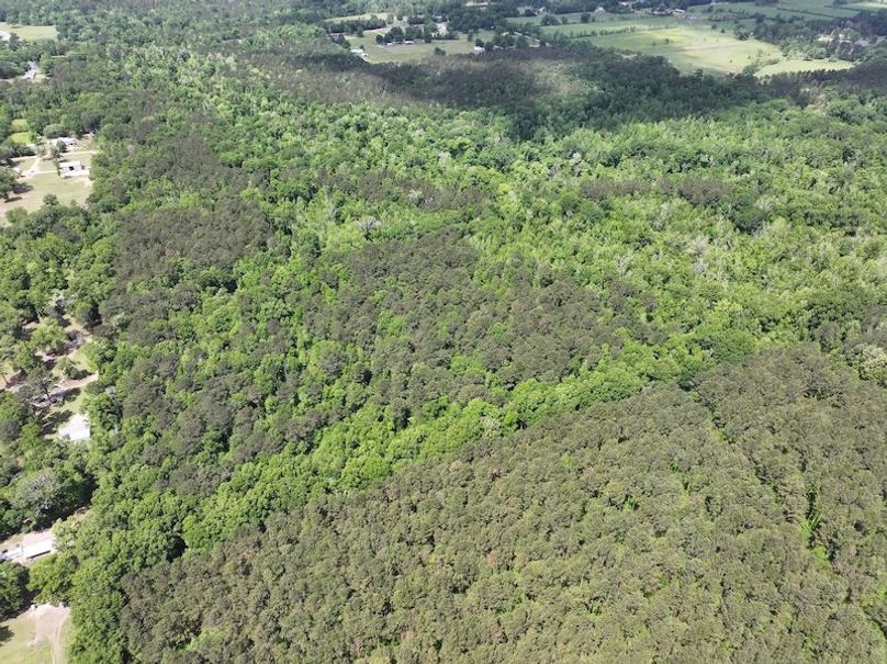 dji_fly_20260413_103450_0004_1776114944770_photo