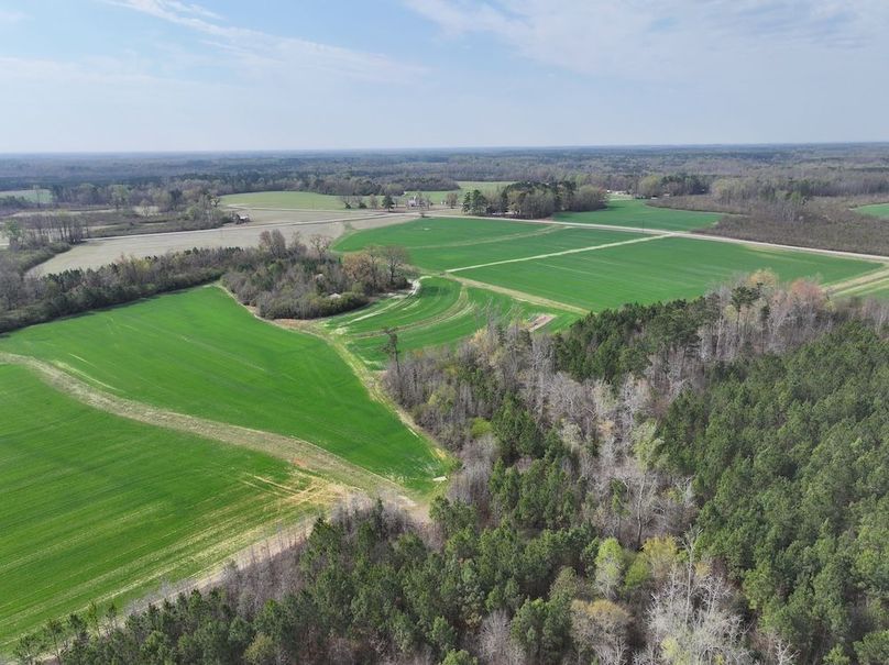 DJI_20260303064047_0565_D