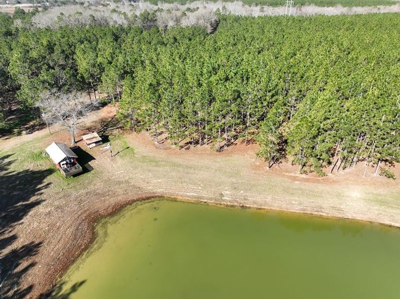 dji_fly_20240207_103248_32_1707320836632_photo