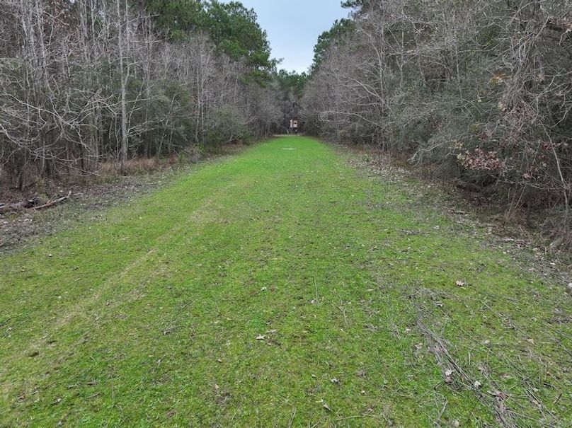 dji_fly_20260123_112258_0911_1769444788935_photo