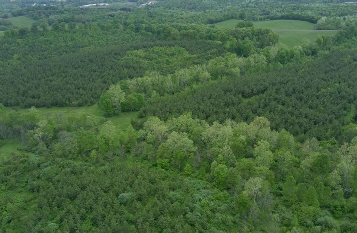 5327153_100DRONE_SING0010