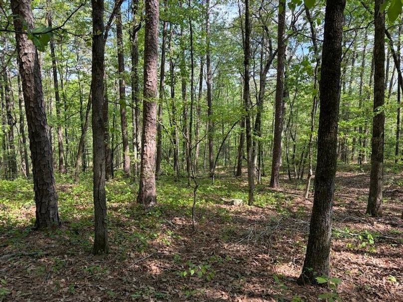 FD95595B-C6F6-4B47-A69A-0C081A386BD9_1_105_c